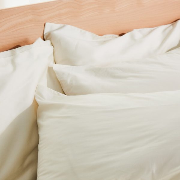 Sateen Organic Cotton Shams 300TC - Image 3