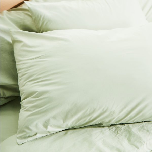 Percale Organic Cotton Shams 270TC - Image 5