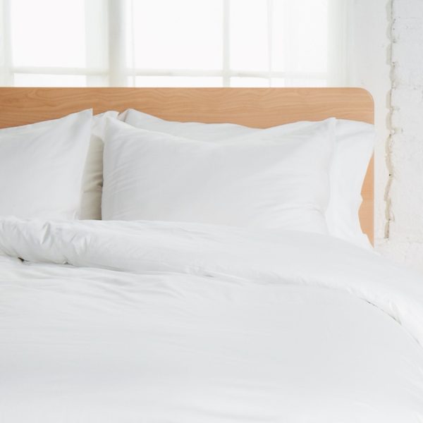 Sateen Organic Cotton Shams 300TC - Image 6