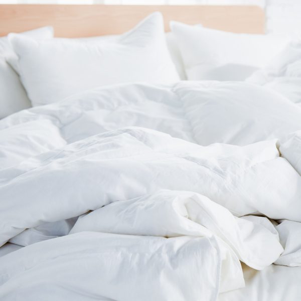 Down Duvet Insert - Image 4